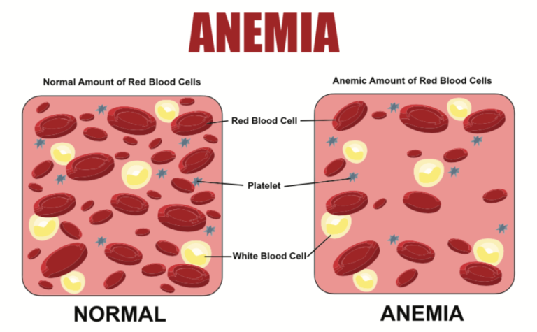 Screen-Shot-2018-12-03-at-2.51.55-PM